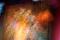 Motion Study #4995